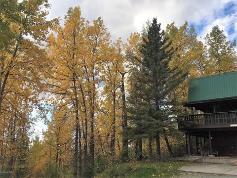10980 Corrie Way, Eagle River, AK 99577 photo 21