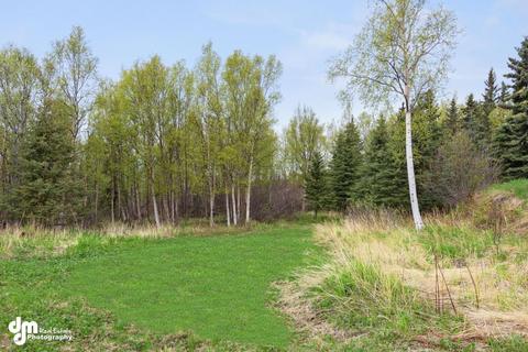 6101 E 162nd Ave, Anchorage, AK 99516 photo 32