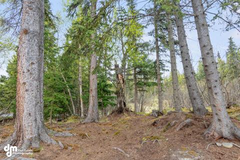 6101 E 162nd Ave, Anchorage, AK 99516 photo 28
