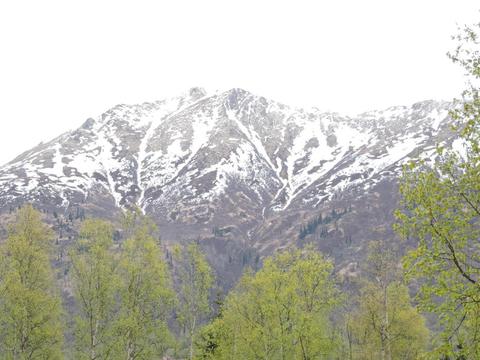 18821 Sarichef Loop, Eagle River, AK 99577 photo 5