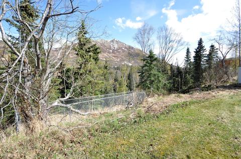 5007 Randi Ct, Eagle River, AK 99577 photo 8