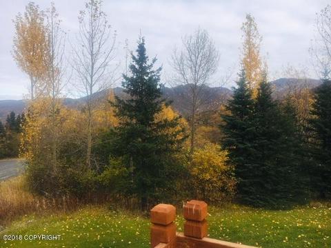 5007 Randi Ct, Eagle River, AK 99577 photo 5