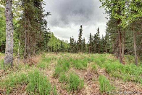 6558 Cimarron Cir, Anchorage, AK 99504 photo 21
