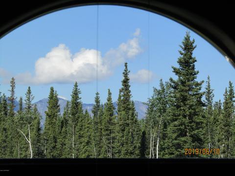 93 Warbelow Ave, Tok, AK 99780 photo 30