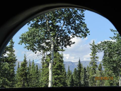 93 Warbelow Ave, Tok, AK 99780 photo 34