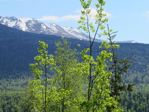 17360 Toakoana Dr, Eagle River, AK 99577 photo 49