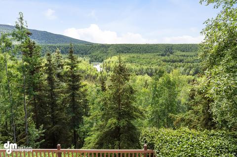 17360 Toakoana Dr, Eagle River, AK 99577 photo 12