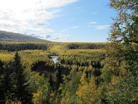 17360 Toakoana Dr, Eagle River, AK 99577 photo 4