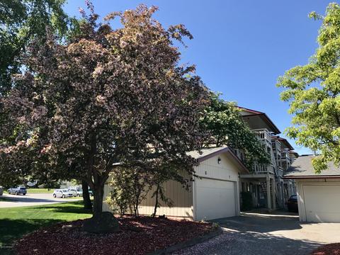 9620 Morningside Loop # A14, Anchorage, AK 99515 photo 24
