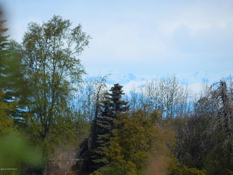 17244 Hyila Ln, Ninilchik, AK 99639