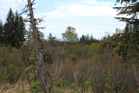 17232 Hyila Ln, Ninilchik, AK 99639