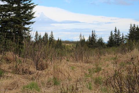 17354 Hyila Ln, Ninilchik, AK 99639