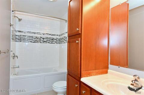 982 Minuteman Loop, North Pole, AK 99705 photo 10