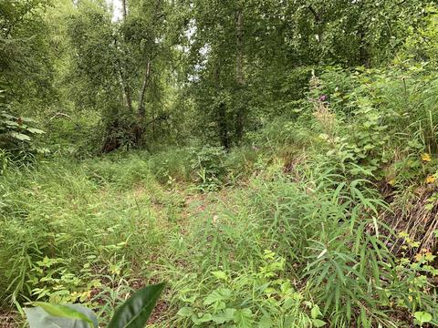 25440 Schaff Dr, Chugiak, AK 99567 photo 23