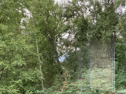 25440 Schaff Dr, Chugiak, AK 99567 photo 21