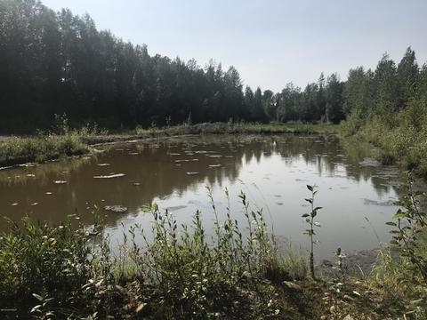 21860 W Willow Fishhook Rd, Willow, AK 99688 photo 33