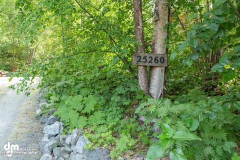 25260 Schaff Dr, Chugiak, AK 99567 photo 43
