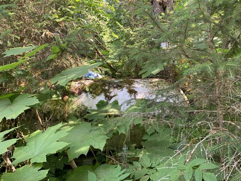 12182 Roundtable Dr, Seward, AK 99664 photo 31