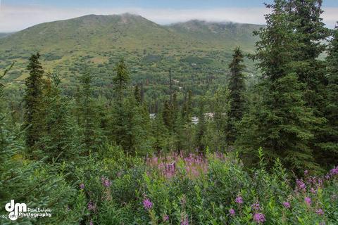 1160 S Creek Rd, Eagle River, AK 99577 photo 58