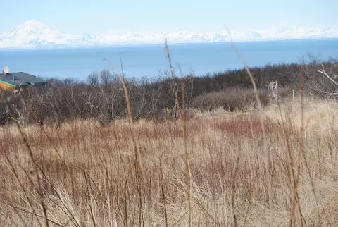10140 Sunset Dr, Ninilchik, AK 99639 photo 4
