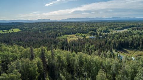 39574 Eldon Cir, Sterling, AK 99672 photo 3