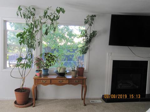 18643 First St, Eagle River, AK 99577 photo 29