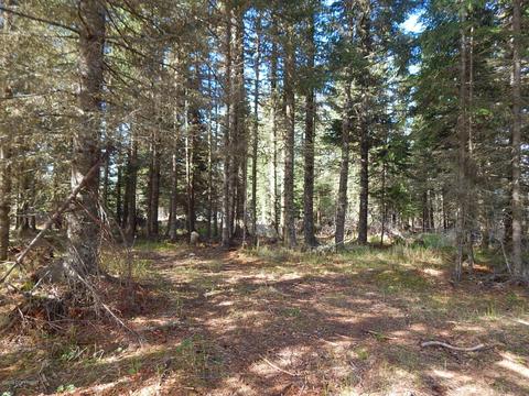 17527 Hyila Ct, Ninilchik, AK 99639