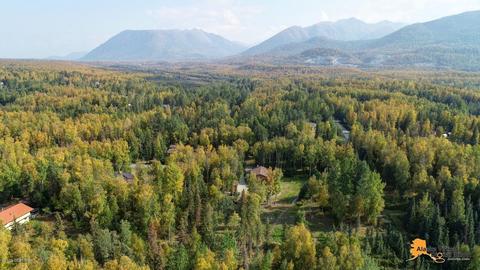 18024 Birchtree St, Chugiak, AK 99567 photo 54