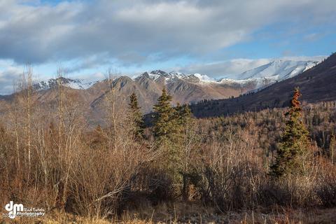 4929 Birdsong Dr, Eagle River, AK 99577 photo 68