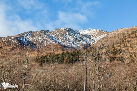 4929 Birdsong Dr, Eagle River, AK 99577 photo 67
