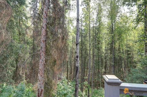 20866 Trailhead Ave # 7, Eagle River, AK 99577 photo 33