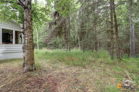 3021 E 142nd Ave, Anchorage, AK 99516 photo 43