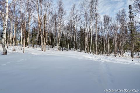 4447 E Kilo Dr, Wasilla, AK 99654 photo 8