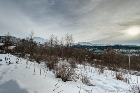 12801 Patrick Rd, Anchorage, AK 99516 photo 54