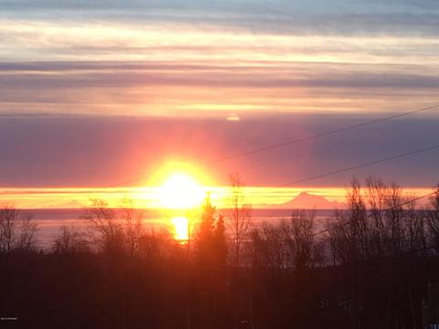 12801 Patrick Rd, Anchorage, AK 99516 photo 3