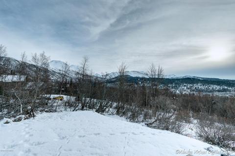 12801 Patrick Rd, Anchorage, AK 99516 photo 22