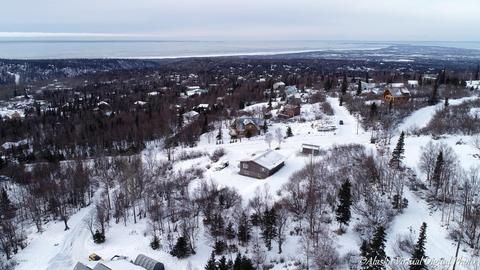 12801 Patrick Rd, Anchorage, AK 99516 photo 50