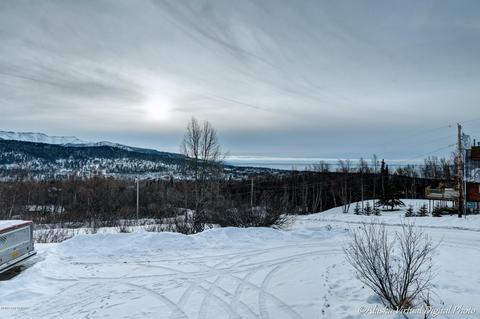 12801 Patrick Rd, Anchorage, AK 99516 photo 21