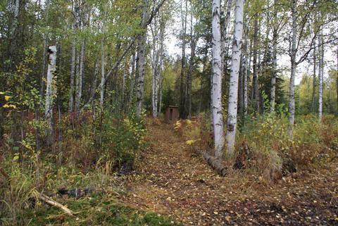 11675 N Deshka Loop, Willow, AK 99688 photo 18