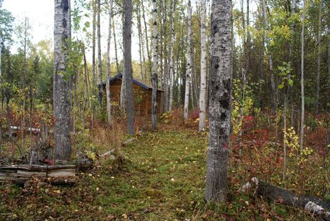 11675 N Deshka Loop, Willow, AK 99688 photo 7
