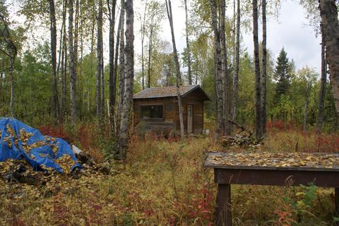 11675 N Deshka Loop, Willow, AK 99688 photo 12