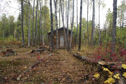 11675 N Deshka Loop, Willow, AK 99688 photo 11