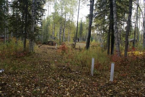 11675 N Deshka Loop, Willow, AK 99688 photo 21