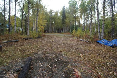 11675 N Deshka Loop, Willow, AK 99688 photo 6