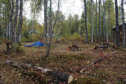 11675 N Deshka Loop, Willow, AK 99688 photo 16