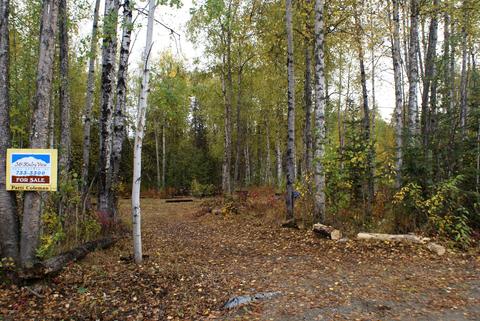 11675 N Deshka Loop, Willow, AK 99688 photo 5