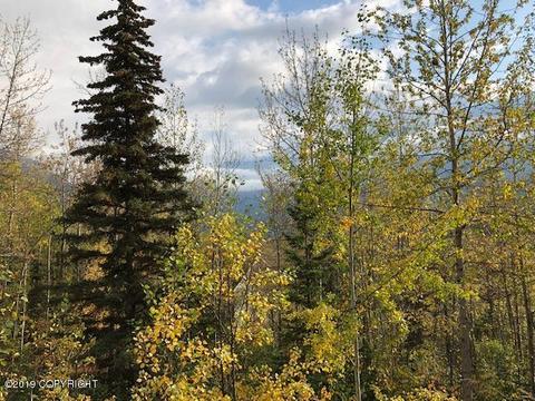 3934 Harca St, Eagle River, AK 99577 photo 23