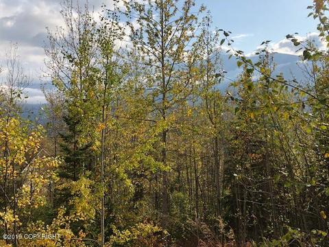 3934 Harca St, Eagle River, AK 99577 photo 22