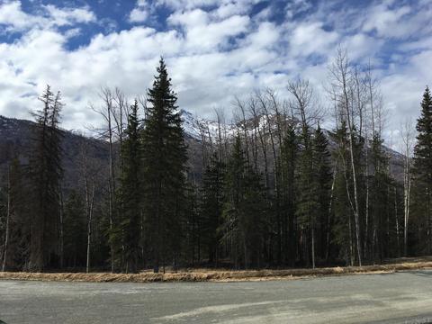 8248 Harmany Ranch Rd, Eagle River, AK 99577 photo 3