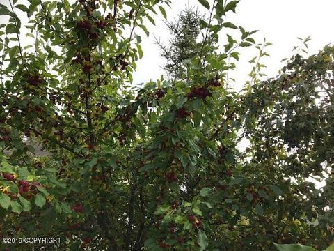 10715 Briggs Cache Cir, Eagle River, AK 99577 photo 39